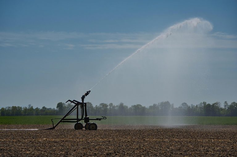 From Drought to Delight: Transforming Your Garden with an Irrigation System